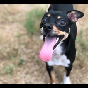 Meet your Posher, Aracely